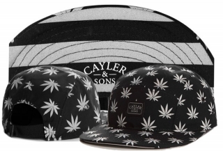 Wholesale Cayler & Sons Snapbacks Hats - TY (23)