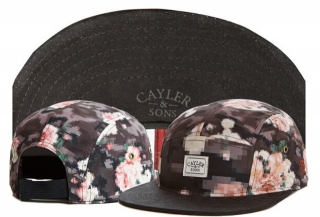 Wholesale Cayler & Sons Snapbacks Hats - TY (25)