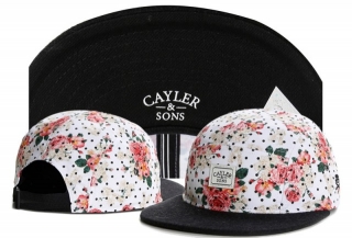 Wholesale Cayler & Sons Snapbacks Hats - TY (50)