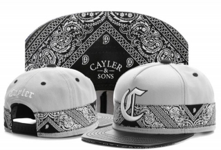 Wholesale Cayler & Sons Snapbacks Hats - TY (70)