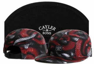Wholesale Cayler & Sons Snapbacks Hats - TY (81)