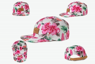 Wholesale Vans Snapback Hats - TY (56)