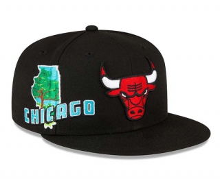 NBA Chicago Bulls New Era Black Stateview 9FIFTY Snapback Hats 2180