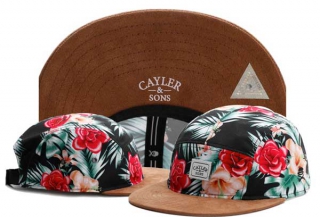 Wholesale Cayler & Sons Snapbacks Hats 8077