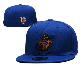 NCAA Florida Gators New Era Royal Alternate Team Logo 9FIFTY Snapback Hat 6005