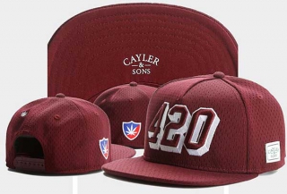 Wholesale Cayler & Sons Snapback Caps 8205