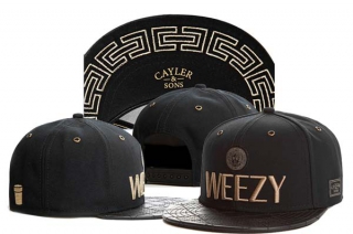 Wholesale Cayler & Sons Snapback Caps 8208