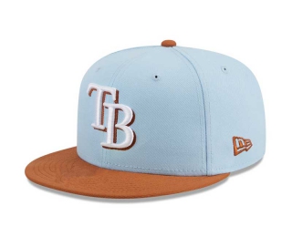 MLB Tampa Bay Rays New Era Light Blue Brown Spring Color Basic Two-Tone 9FIFTY Snapback Hat 2006