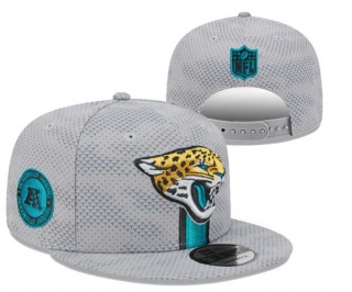 NFL Jacksonville Jaguars New Era 2024 Sideline Gray 9FIFTY Snapback Hat 3004