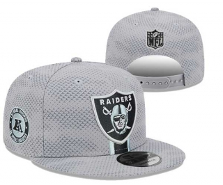 NFL Las Vegas Raiders New Era 2024 Sideline Gray 9FIFTY Snapback Hat 3076