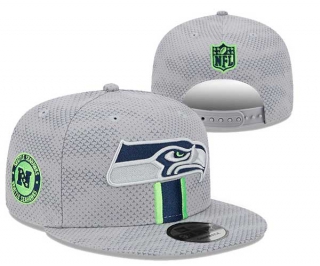 NFL Seattle Seahawks New Era 2024 Sideline Gray 9FIFTY Snapback Hat 3043