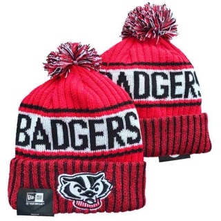 NCAA College Wisconsin Badgers Knit Beanies Hat 3033