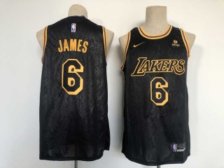 Men's NBA Los Angeles Lakers LeBron James #6 Nike Jersey City Edition (46)