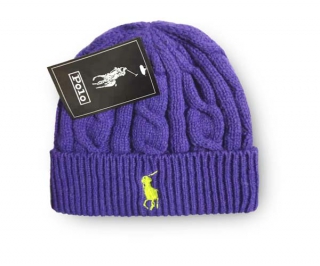 Wholesale Polo Beanie Hats Purple AAA 9035