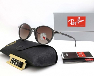 Ray-Ban 4237 Polarized Round Sunglasses AAA (3)