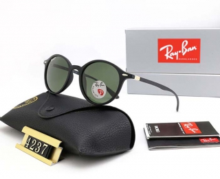 Ray-Ban 4237 Polarized Round Sunglasses AAA (5)
