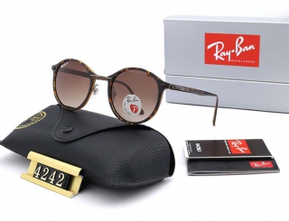 Ray-Ban 4242 Polarized Round Sunglasses AAA (1)