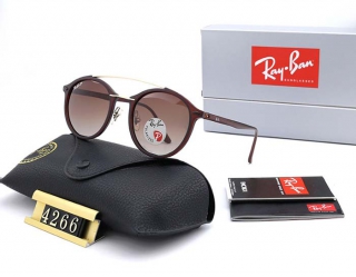 Ray-Ban 4266 Polarized Round Sunglasses AAA (1)