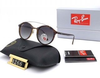 Ray-Ban 4266 Polarized Round Sunglasses AAA (2)