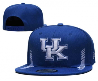NCAA College Kentucky Wildcats Snapback Hat 3001
