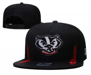 NCAA College Wisconsin Badgers Snapback Hat 3001