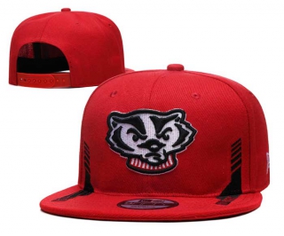 NCAA College Wisconsin Badgers Snapback Hat 3002