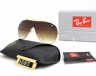 Ray-Ban 3597 Wings Shield Sunglasses AAA (2)