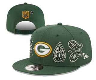 Wholesale NFL Green Bay Packers New Era 9FIFTY Blue Paisley Elements Snapback Hat 3029