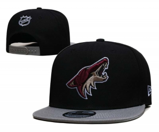 NHL Arizona Coyotes New Era Black Gray 9FIFTY Snapback Hat 2001
